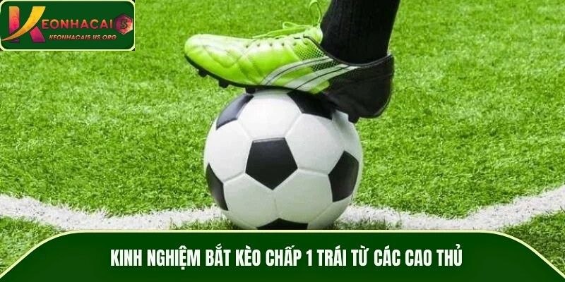 Kinh nghiệm bắt kèo chấp 1 trái từ các cao thủ